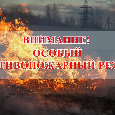 Особый противопожарный режим с 12 апреля начнёт действовать в Свердловской области.