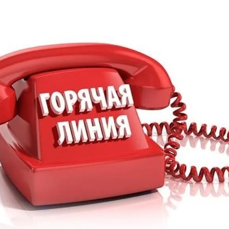ГОРЯЧАЯ ЛИНИЯ по приему в 1 класс 2024/2025 учебного года