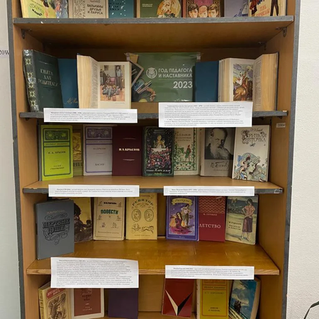 Тематическая выставка «Год  педагога и наставника» в библиотеке МБОУ СОШ № 6