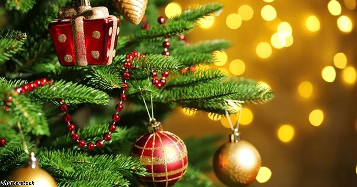 Новогодний  вечер  для представителей детских молодёжных общественных  организации и объединений