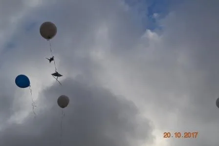 День Белых Журавлей