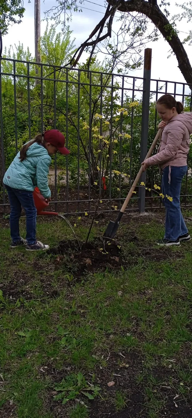 Акции «Сад Памяти»