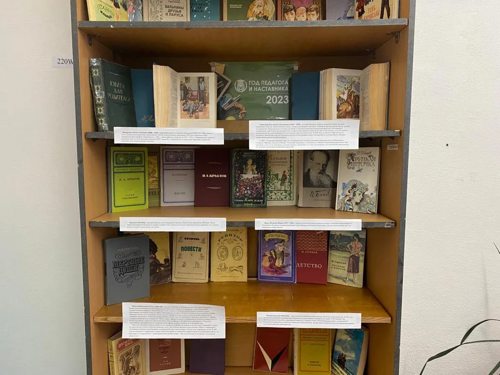 Тематическая выставка «Год  педагога и наставника» в библиотеке МБОУ СОШ № 6