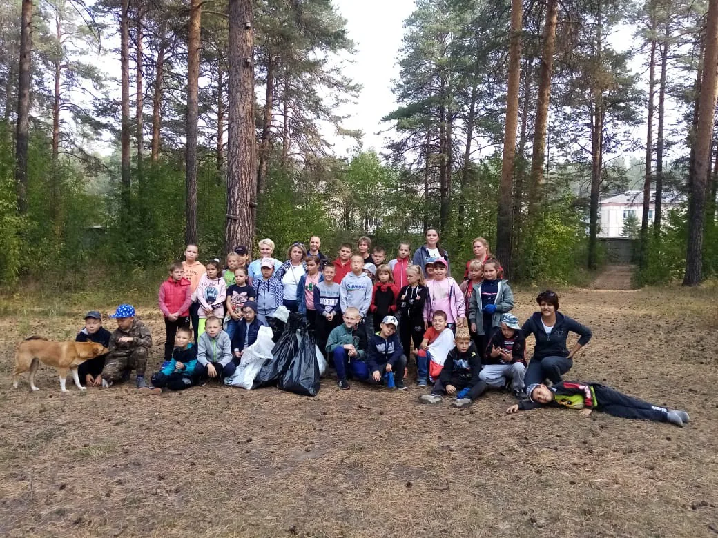 Акция "Чистый лес"