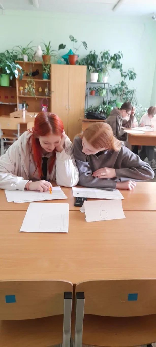 Ученицы 9 класса приняли участие в муниципальном чемпионате ОГЭ по биологии.